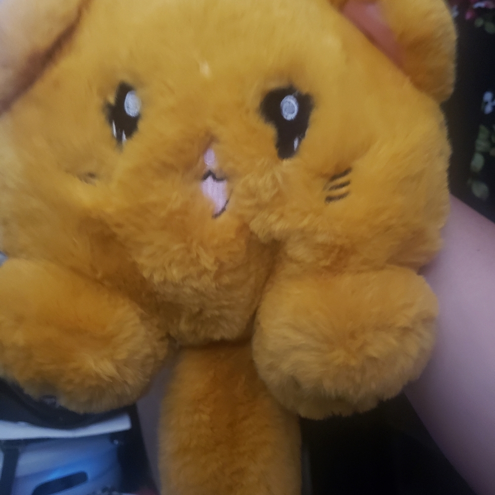 Backpack - Picture 2 of 2